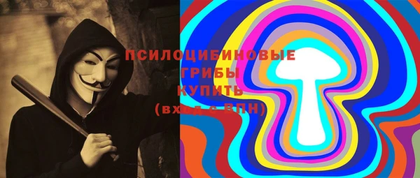 хмурый Алексеевка