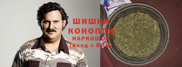 молекула духа Алексин